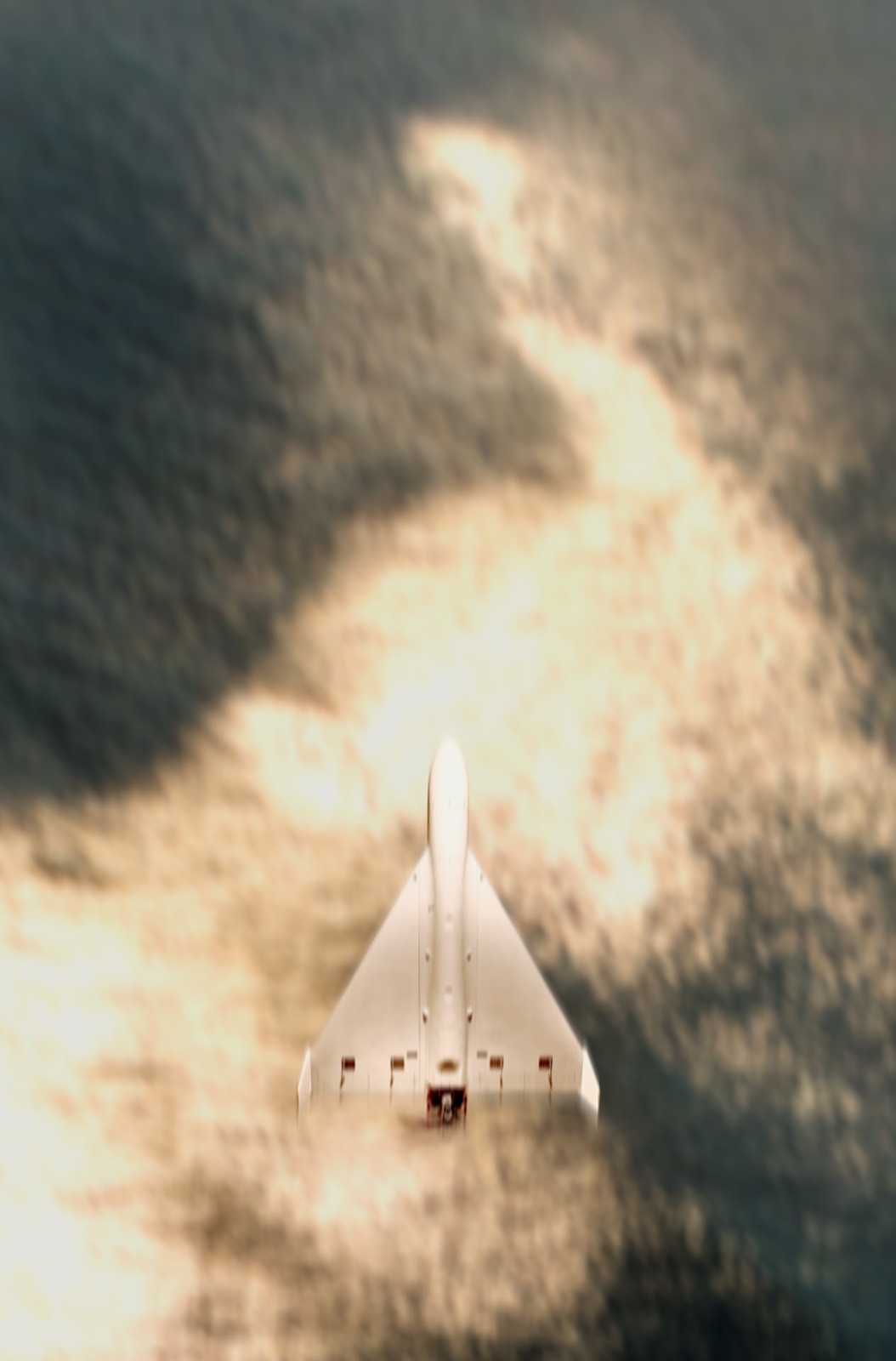 Delta-wing aircraft seen from above
