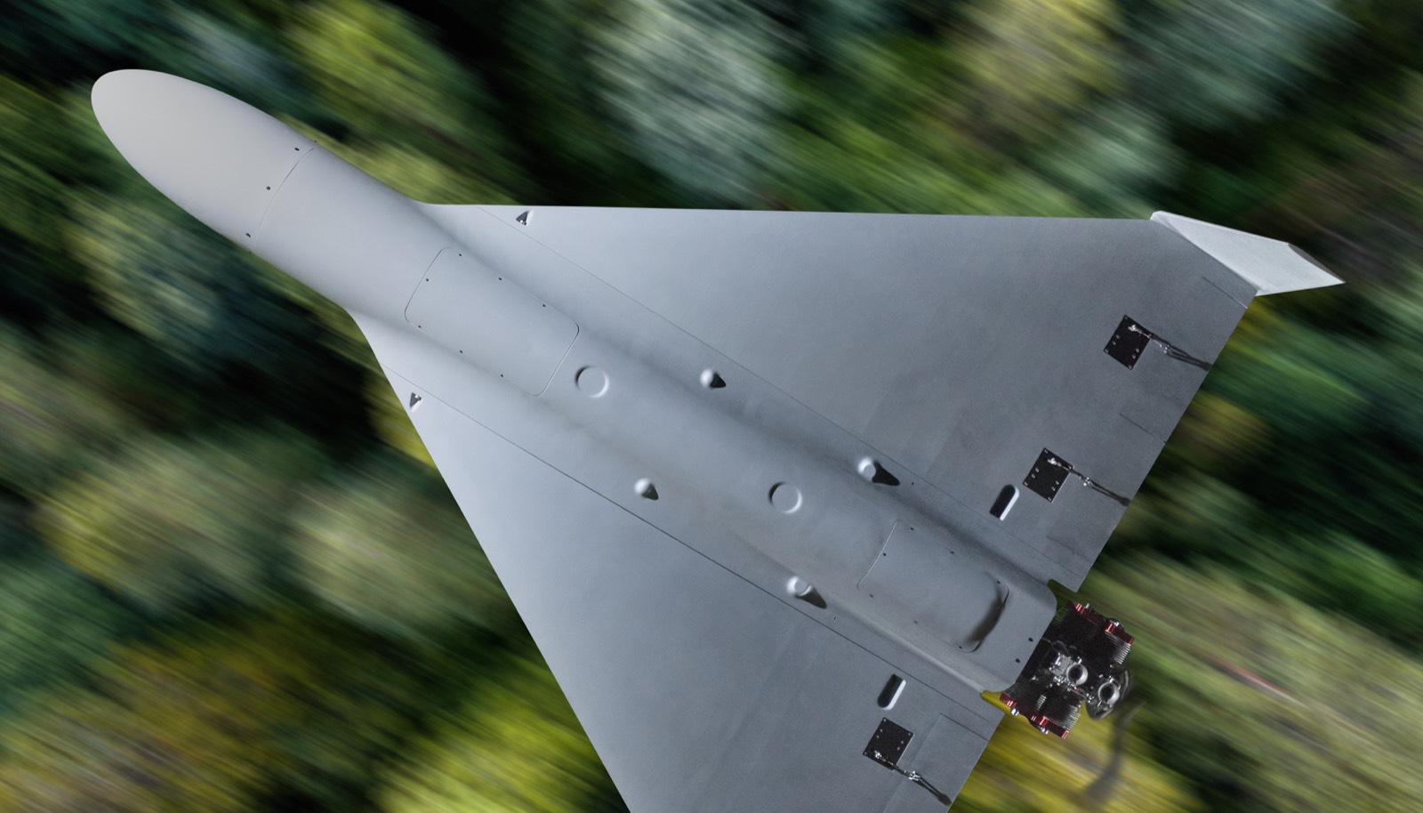 Phoenix LT flying over forest